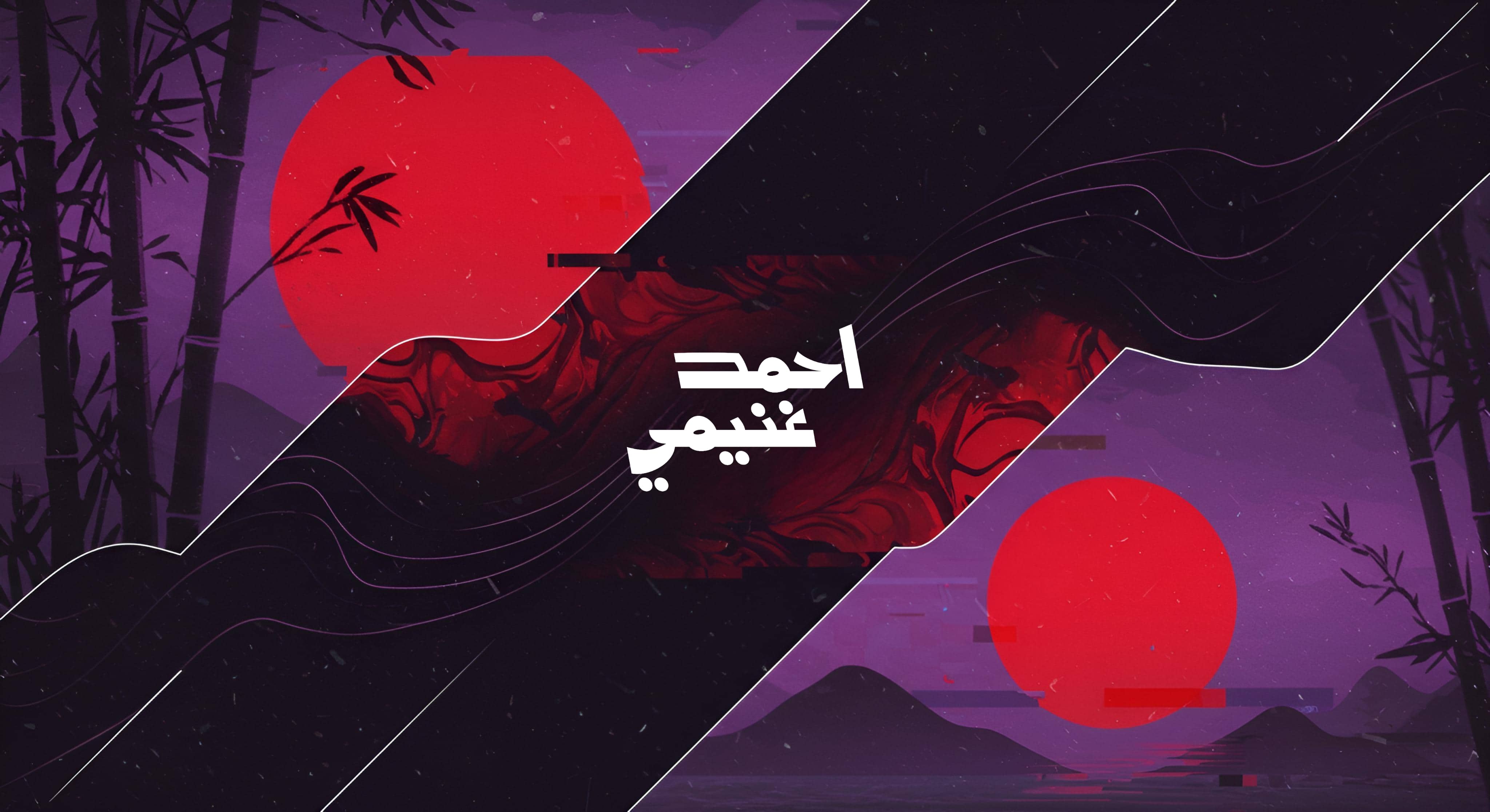 Ahmed Ghonemy cover pic